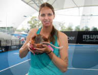 PEOPLE - Karolina Pliskova in Brisbane