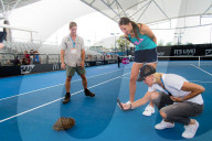 PEOPLE - Karolina Pliskova in Brisbane