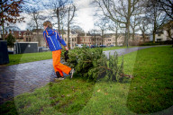 FEATURE - Fertig Weihnachten: Der Baum muss raus
