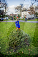 FEATURE - Fertig Weihnachten: Der Baum muss raus