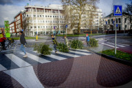 FEATURE - Fertig Weihnachten: Der Baum muss raus