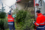 FEATURE - Fertig Weihnachten: Der Baum muss raus