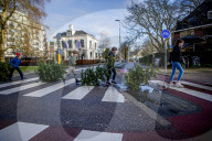 FEATURE - Fertig Weihnachten: Der Baum muss raus