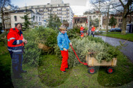 FEATURE - Fertig Weihnachten: Der Baum muss raus