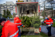 FEATURE - Fertig Weihnachten: Der Baum muss raus