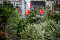 FEATURE - Fertig Weihnachten: Der Baum muss raus