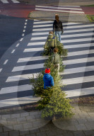 FEATURE - Fertig Weihnachten: Der Baum muss raus