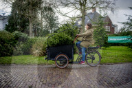 FEATURE - Fertig Weihnachten: Der Baum muss raus