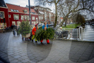 FEATURE - Fertig Weihnachten: Der Baum muss raus