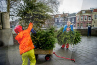 FEATURE - Fertig Weihnachten: Der Baum muss raus