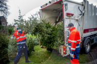 FEATURE - Fertig Weihnachten: Der Baum muss raus