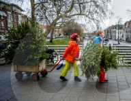 FEATURE - Fertig Weihnachten: Der Baum muss raus