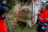 FEATURE - Fertig Weihnachten: Der Baum muss raus