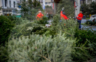 FEATURE - Fertig Weihnachten: Der Baum muss raus