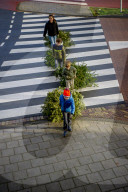 FEATURE - Fertig Weihnachten: Der Baum muss raus