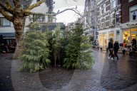 FEATURE - Fertig Weihnachten: Der Baum muss raus