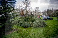 FEATURE - Fertig Weihnachten: Der Baum muss raus