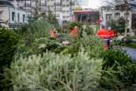 FEATURE - Fertig Weihnachten: Der Baum muss raus