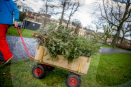 FEATURE - Fertig Weihnachten: Der Baum muss raus