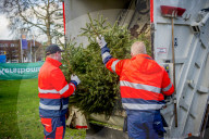 FEATURE - Fertig Weihnachten: Der Baum muss raus