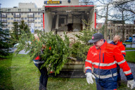 FEATURE - Fertig Weihnachten: Der Baum muss raus