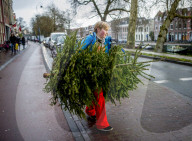 FEATURE - Fertig Weihnachten: Der Baum muss raus