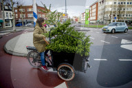 FEATURE - Fertig Weihnachten: Der Baum muss raus