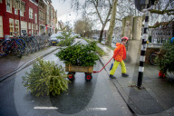 FEATURE - Fertig Weihnachten: Der Baum muss raus