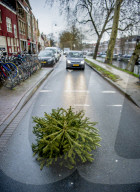 FEATURE - Fertig Weihnachten: Der Baum muss raus