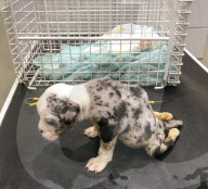 FEATURE - Pix of the Day: Bilder des Tages