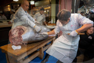 NEWS - Tokio: Thunfisch Auktion auf dem Toyosu-Fischmarkt