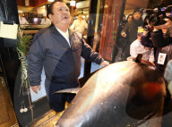 NEWS - Tokio: Thunfisch Auktion auf dem Toyosu-Fischmarkt
