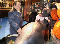 NEWS - Tokio: Thunfisch Auktion auf dem Toyosu-Fischmarkt