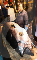 NEWS - Tokio: Thunfisch Auktion auf dem Toyosu-Fischmarkt