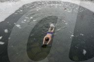 FEATURE - Pix of the Day: Bilder des Tages