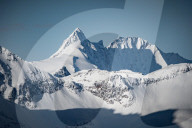 FEATURE - Pix of the Day: Bilder des Tages