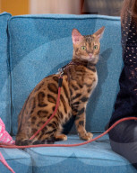 PEOPLE - Pix of the Day: Promibilder des Tages