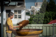 FEATURE - Pix of the Day: Bilder des Tages