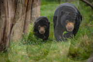 FEATURE - Pix of the Day: Bilder des Tages
