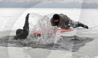 FEATURE - Pix of the Day: Bilder des Tages
