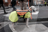 NEWS - Frankreich: Proteste der Gilet Jaunes 