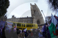 NEWS - Brexit: Demonstranten vor dem Parlament mit Brexit-Abstimmung zufrieden