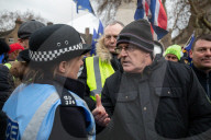 NEWS - Brexit: Demonstranten vor dem Parlament mit Brexit-Abstimmung zufrieden