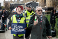 NEWS - Brexit: Demonstranten vor dem Parlament mit Brexit-Abstimmung zufrieden