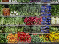 FEATURE - Pix of the Day: Bilder des Tages