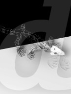 FEATURE - Forscher lassen 300 Millionen Jahre altes Fossil mithilfe Robotertechnik laufen