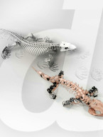 FEATURE - Forscher lassen 300 Millionen Jahre altes Fossil mithilfe Robotertechnik laufen
