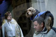 FEATURE - Tiere werden in Madrid gesegnet