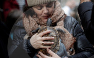 FEATURE - Tiere werden in Madrid gesegnet