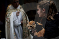 FEATURE - Tiere werden in Madrid gesegnet